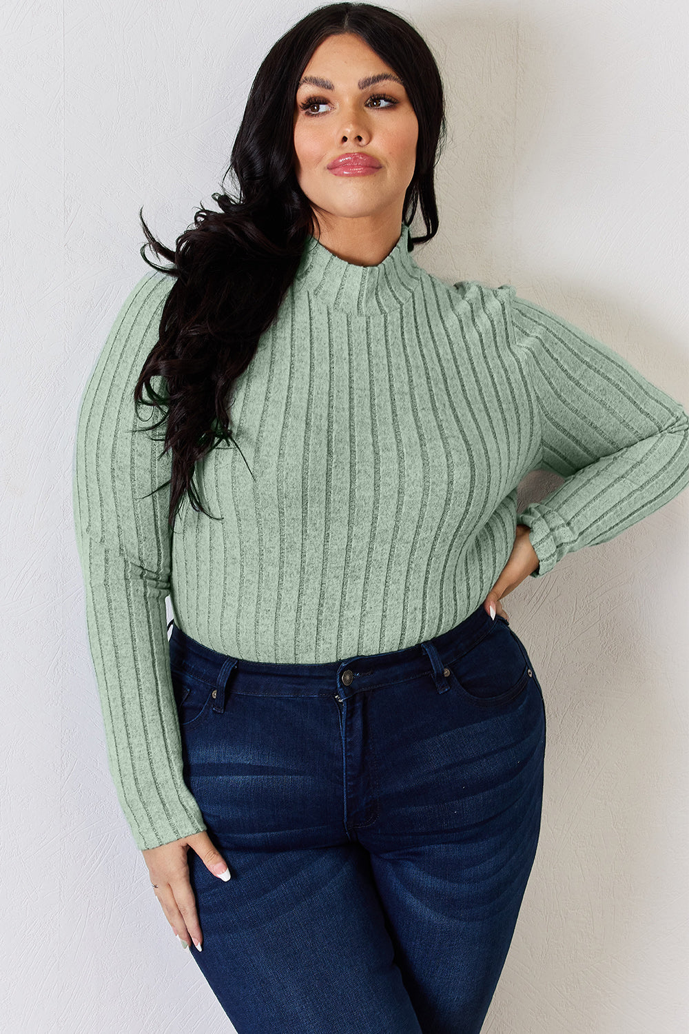 Basic Bae Ribbed Mock Neck Long Sleeve T-Shirt